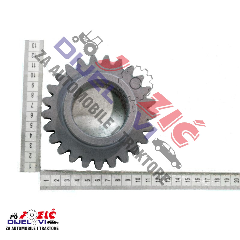 Daisy on the Ohoopee